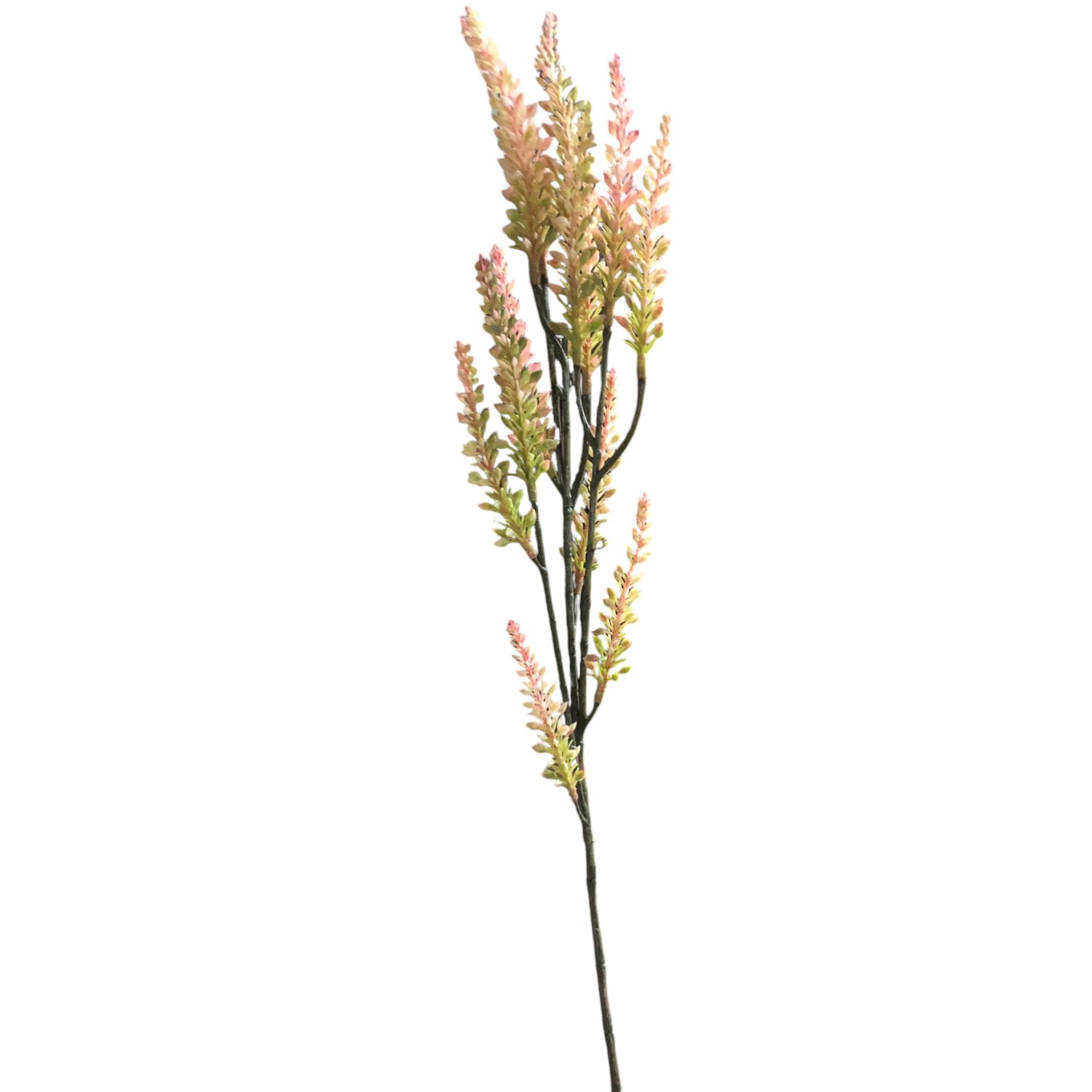 RAMA FLOR DEL TRIGO