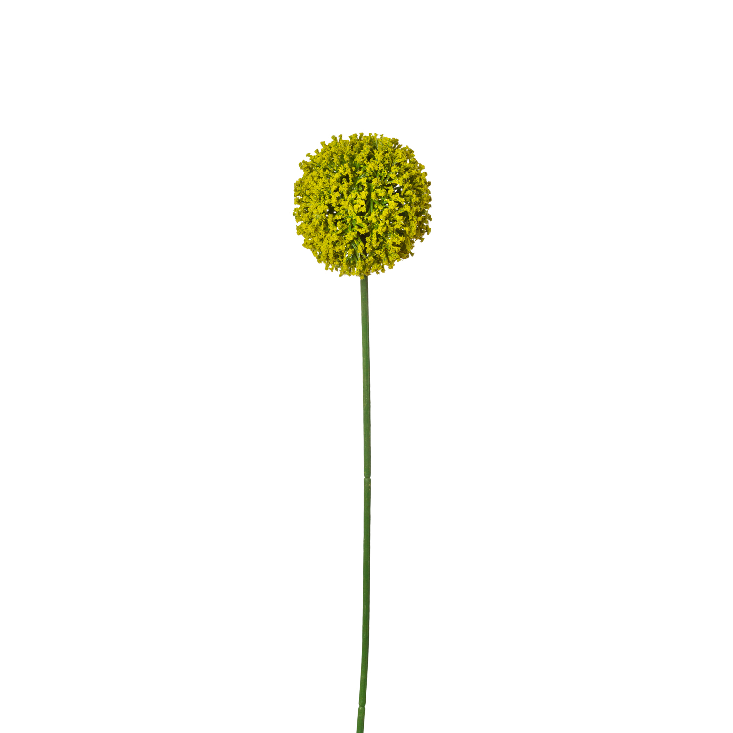 SNOWBALL SINGLE