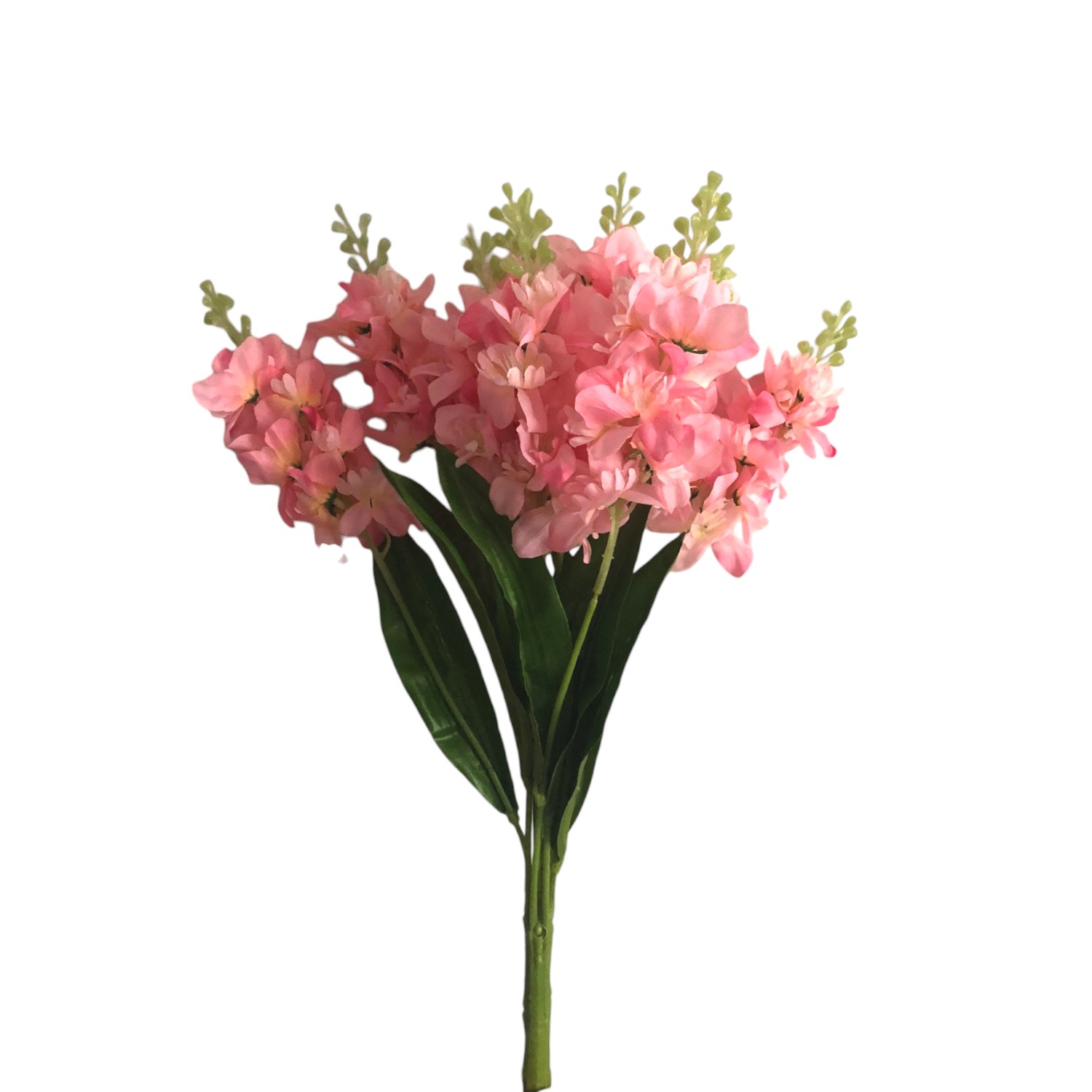 RAMO DELPHINIUM