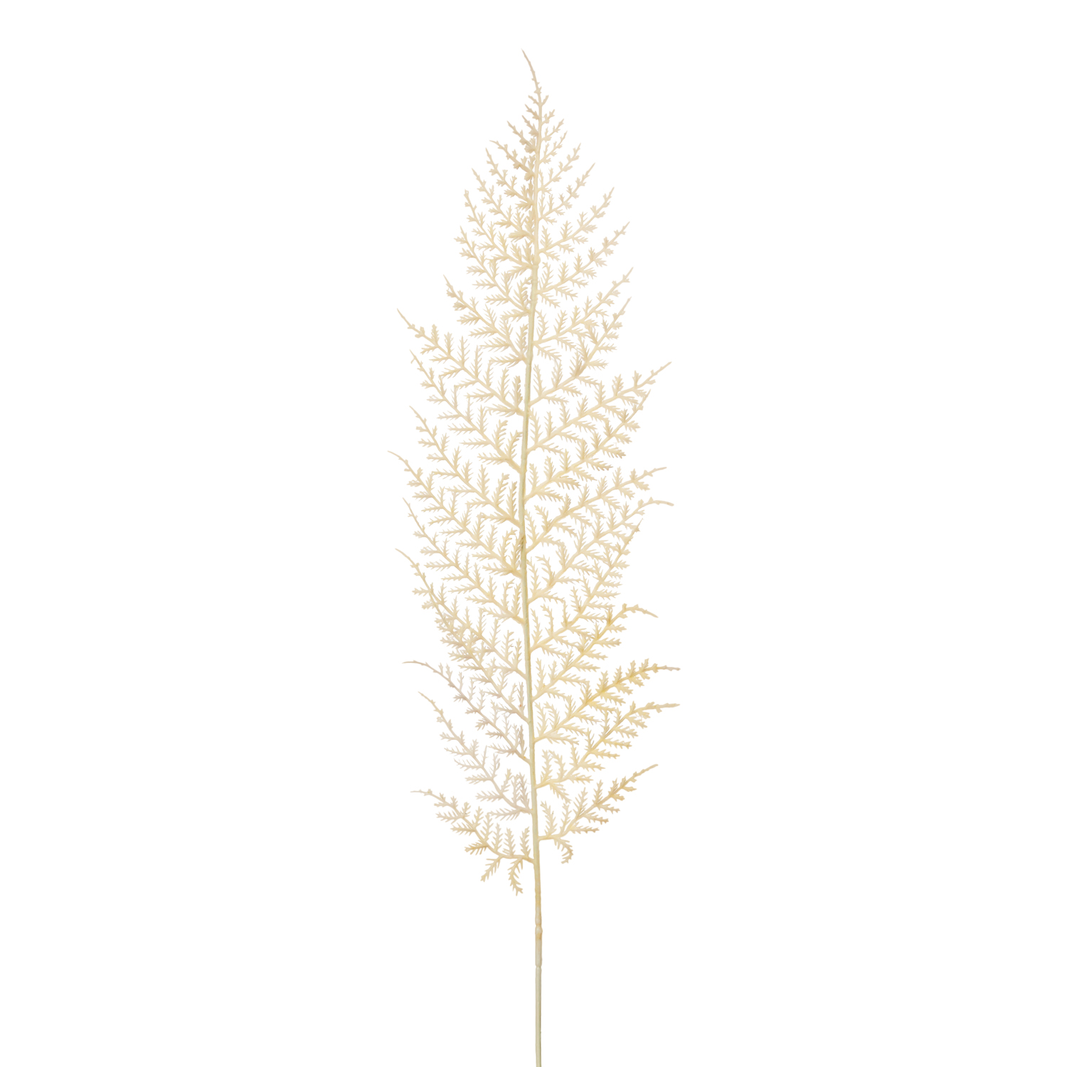 HOJA HELECHO FERN