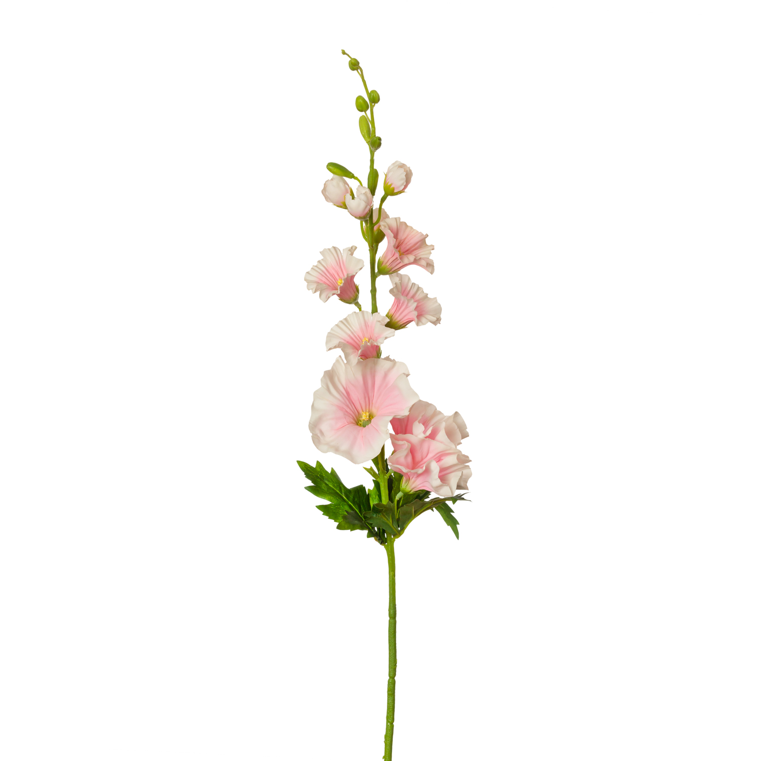 VARA ALCEA