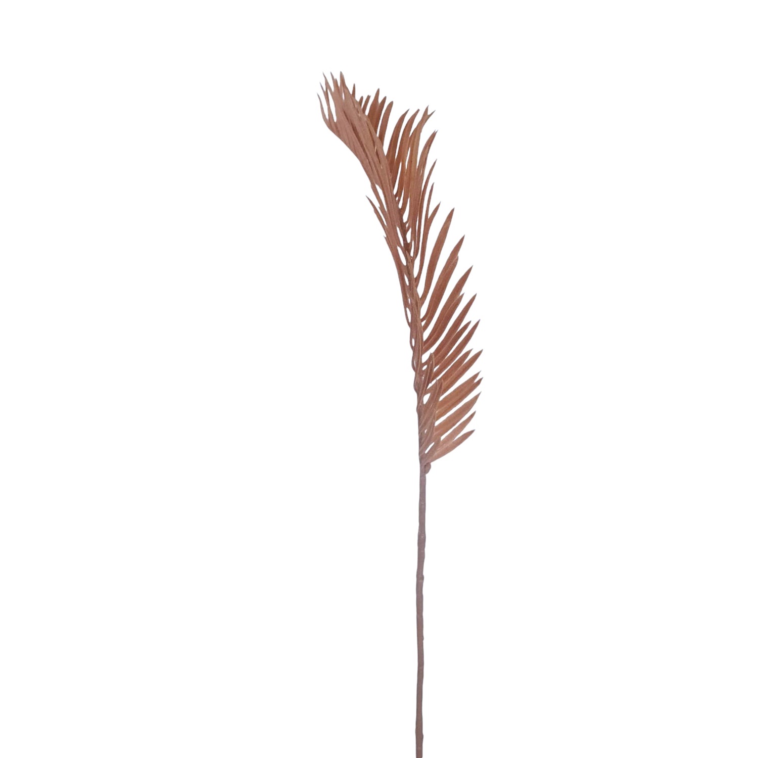 HOJAS PALMERA