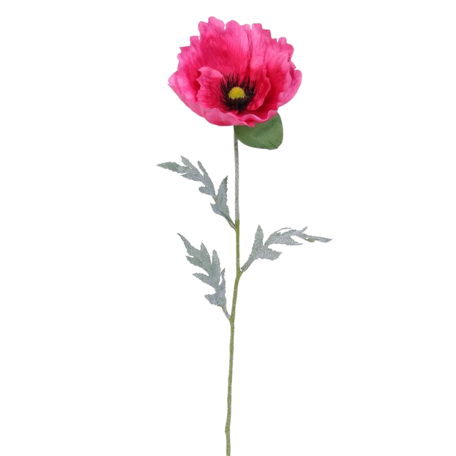 AMAPOLA GRANDE