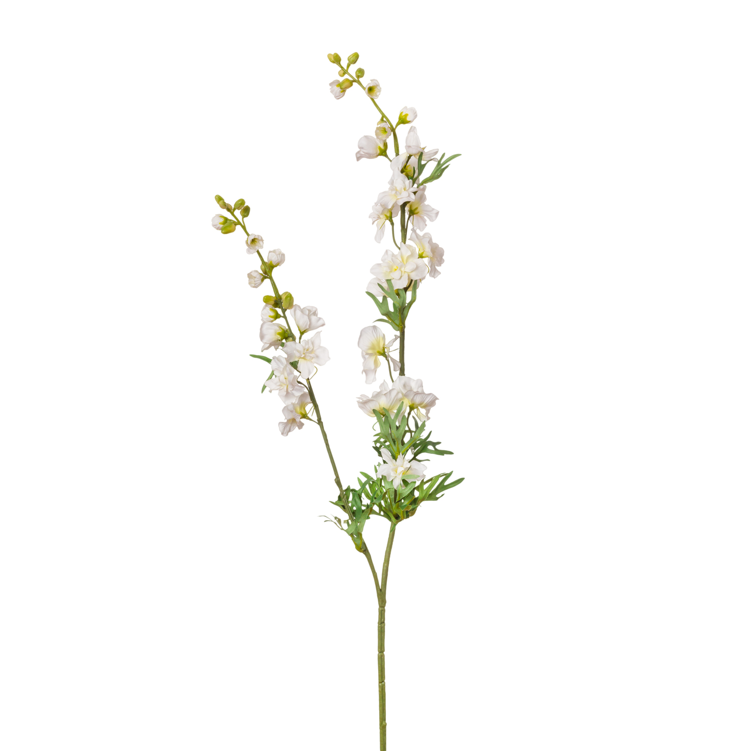 DELPHINIUM VARA DOBLE
