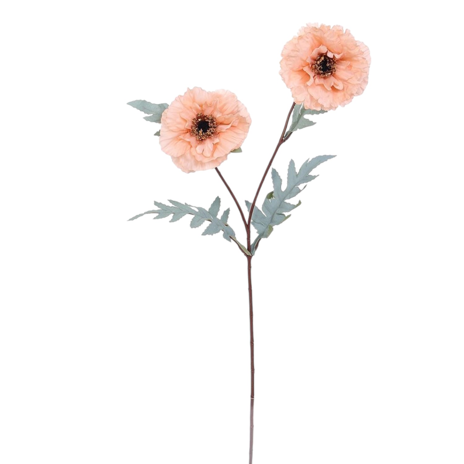 POPPY SPRAY
