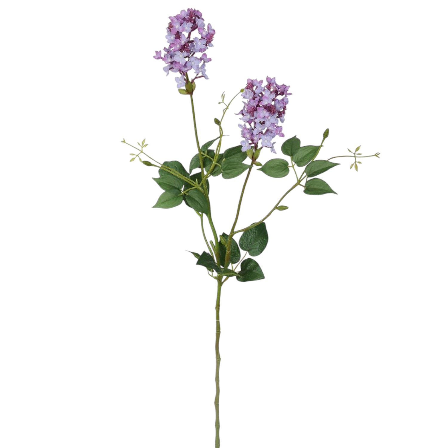 LILAS