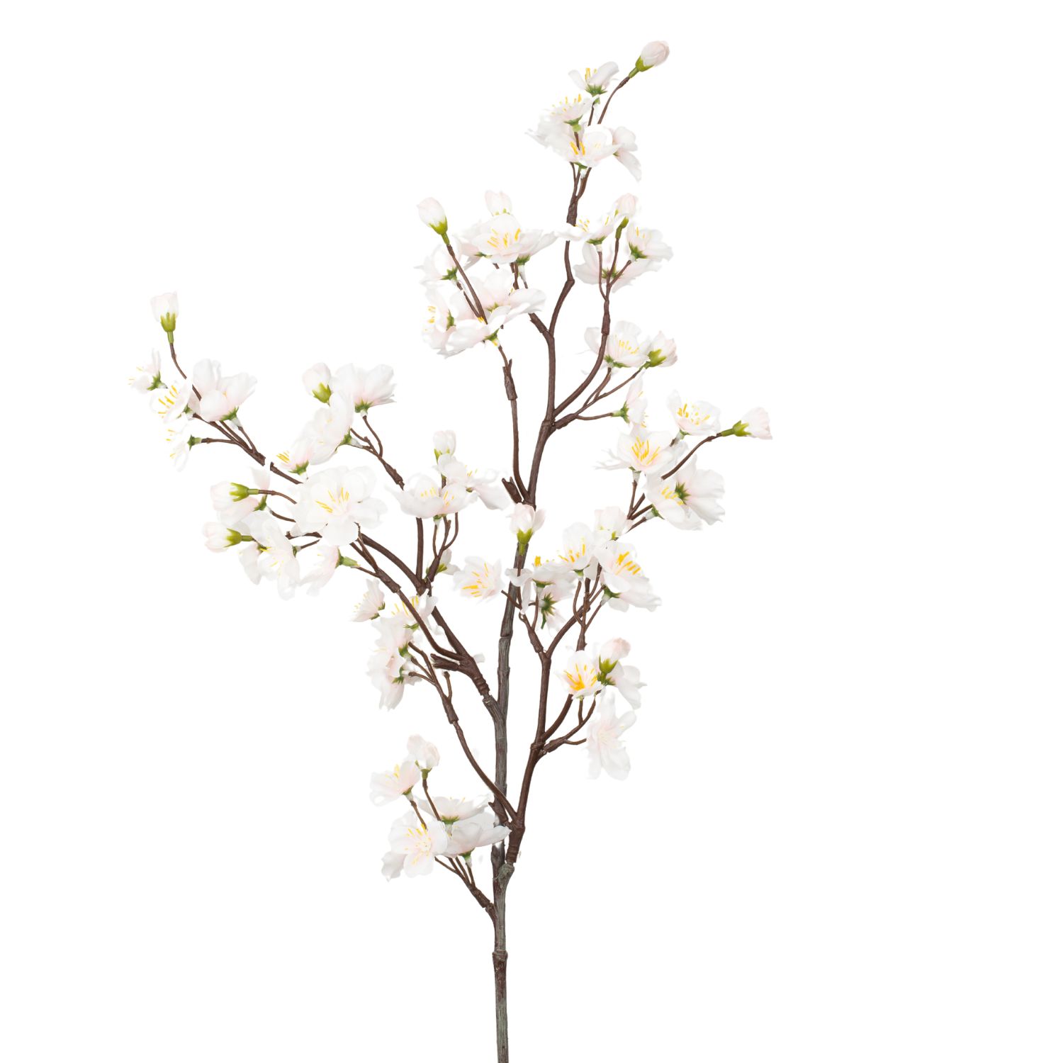 CEREZO FLOR RAMA