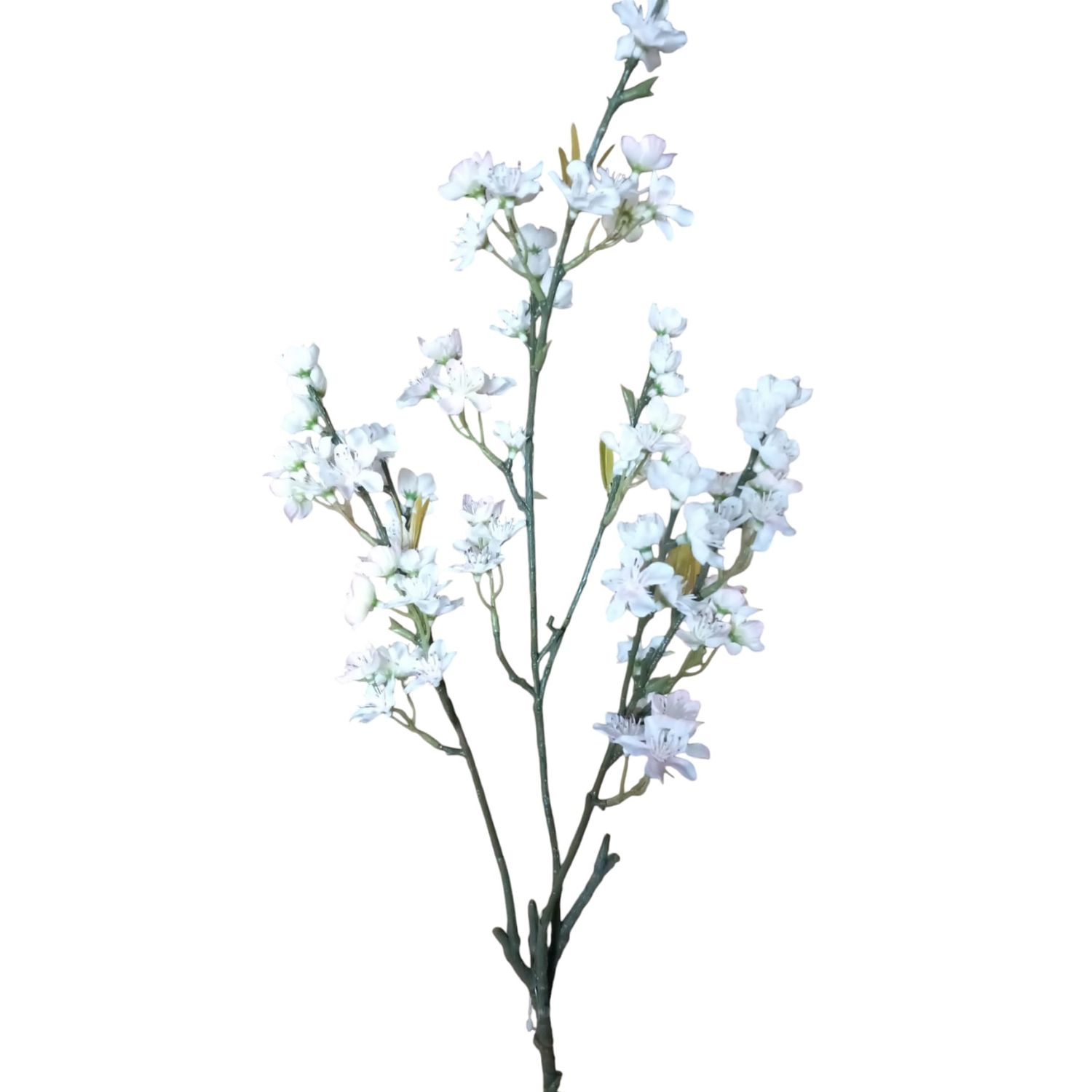 CEREZO FLOR RAMA