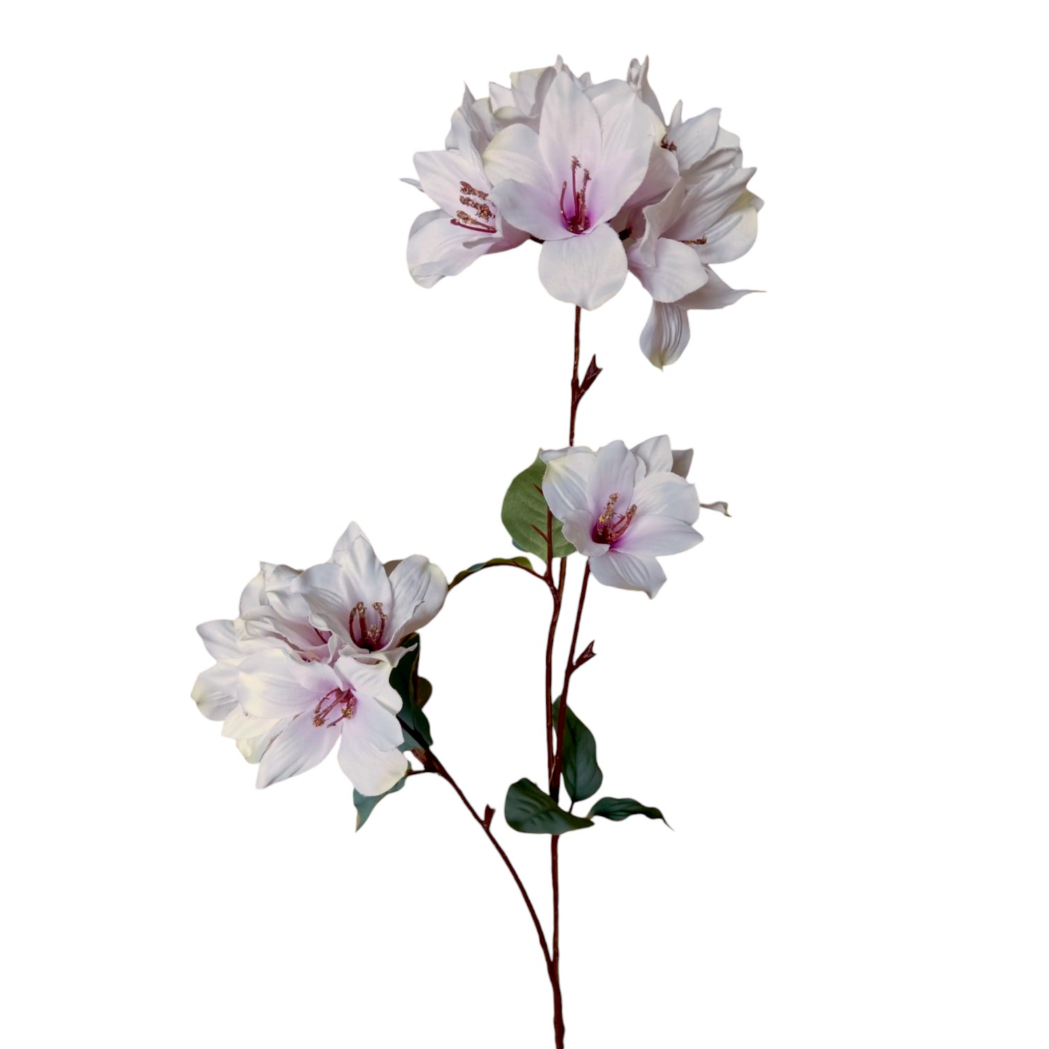 RAMA FLOR TROMPETA