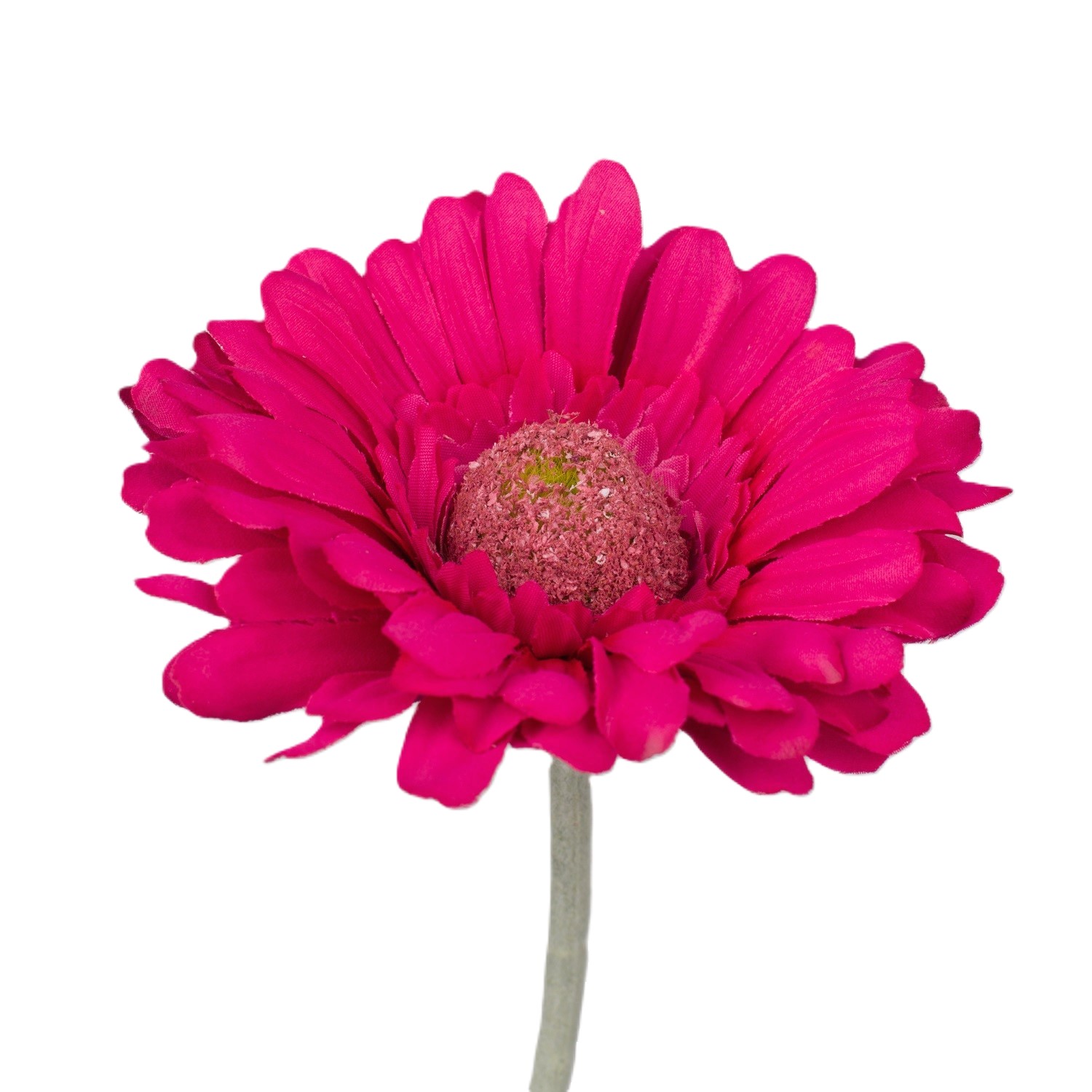 gerbera-simple-maneli-flor