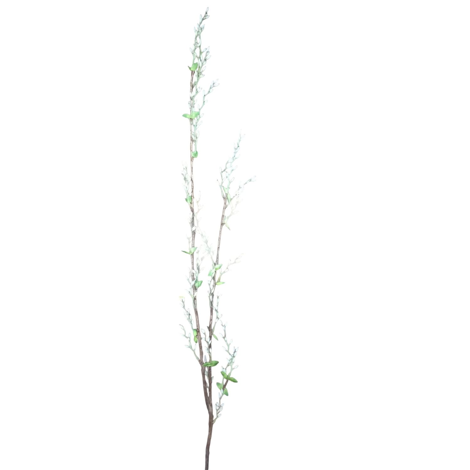 WILLOW BRANCH*2