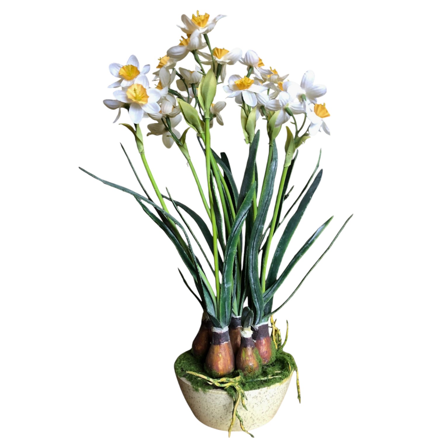 POTTED DAFFODIL