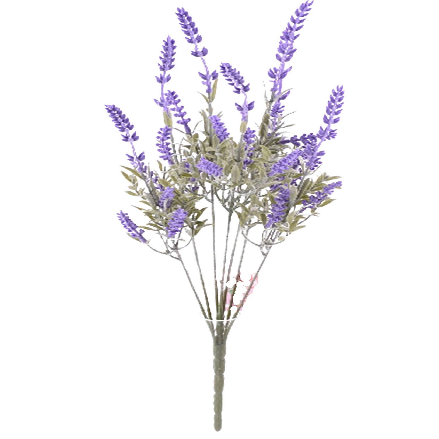 RAMO LAVANDA
