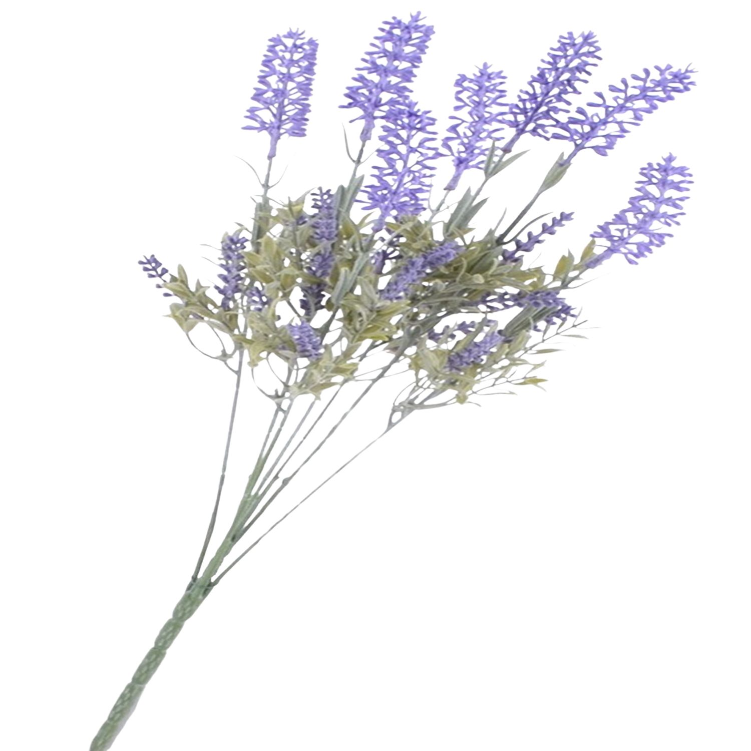 RAMO LAVANDA