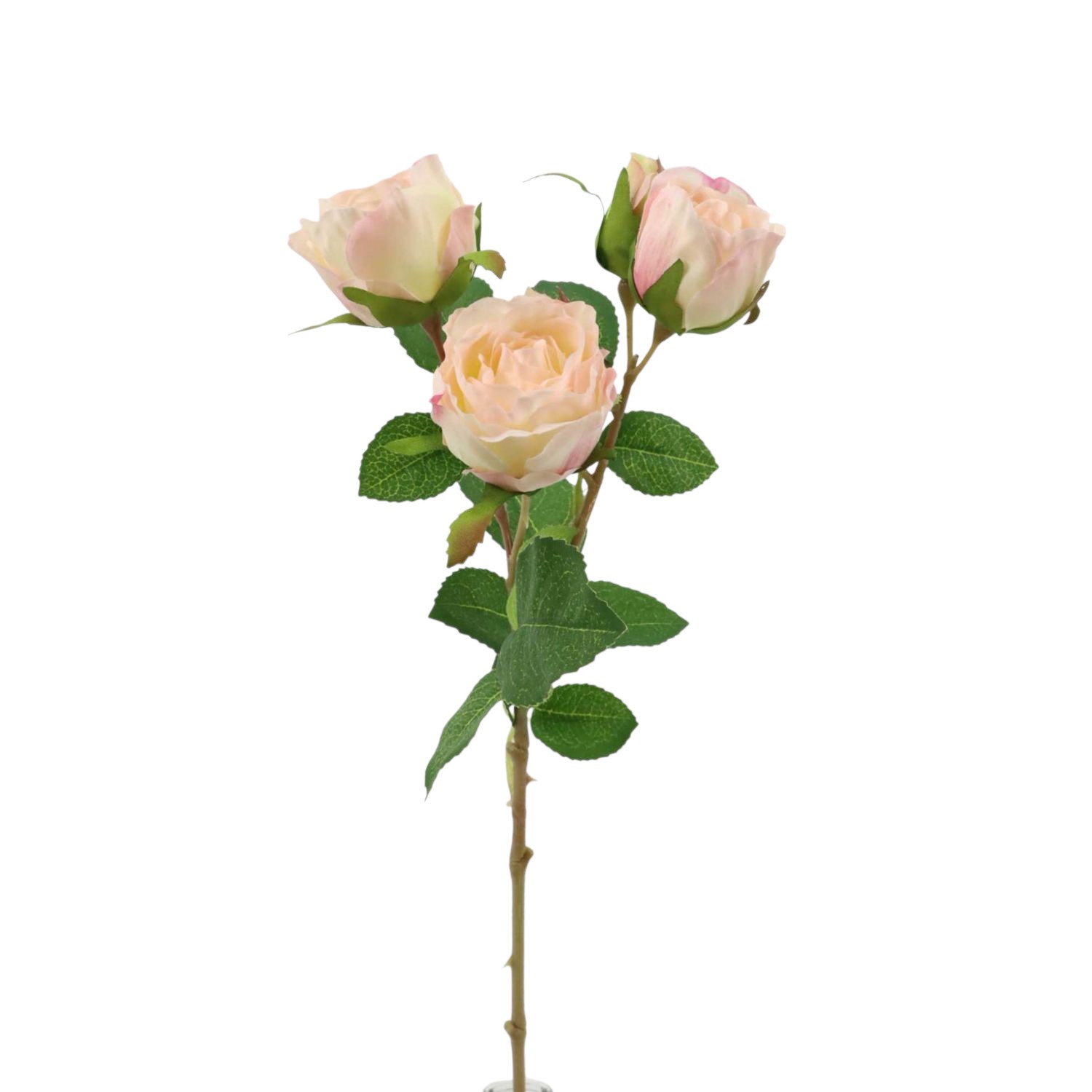 ROSA VARA 4 CABEZAS