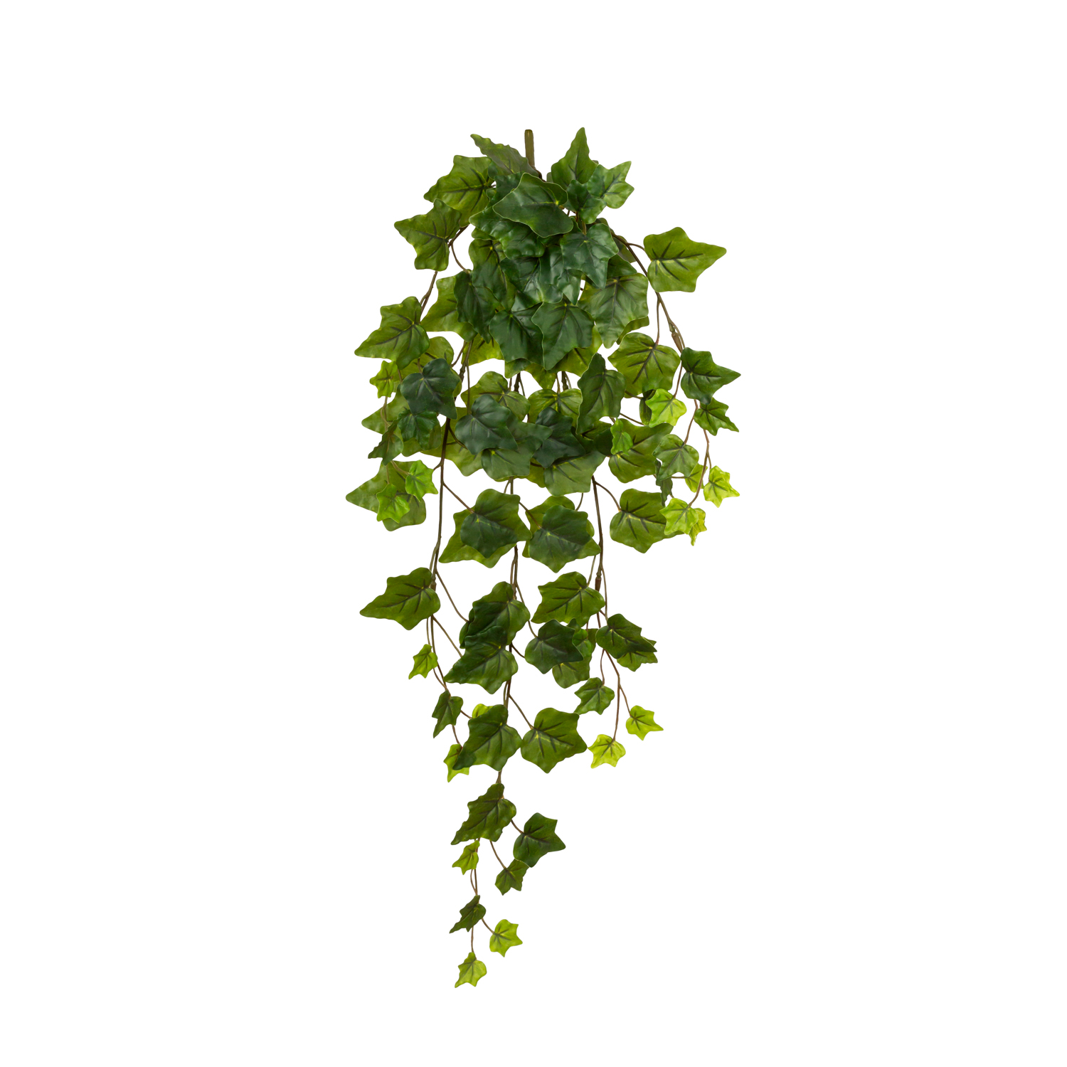 HIEDRA COLGANTE