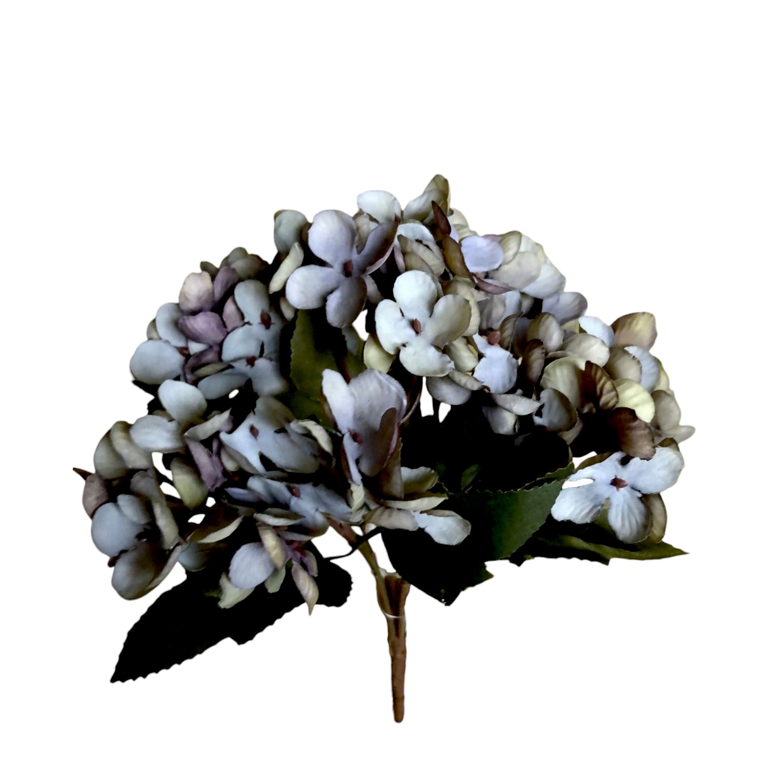 RAMO HORTENSIA