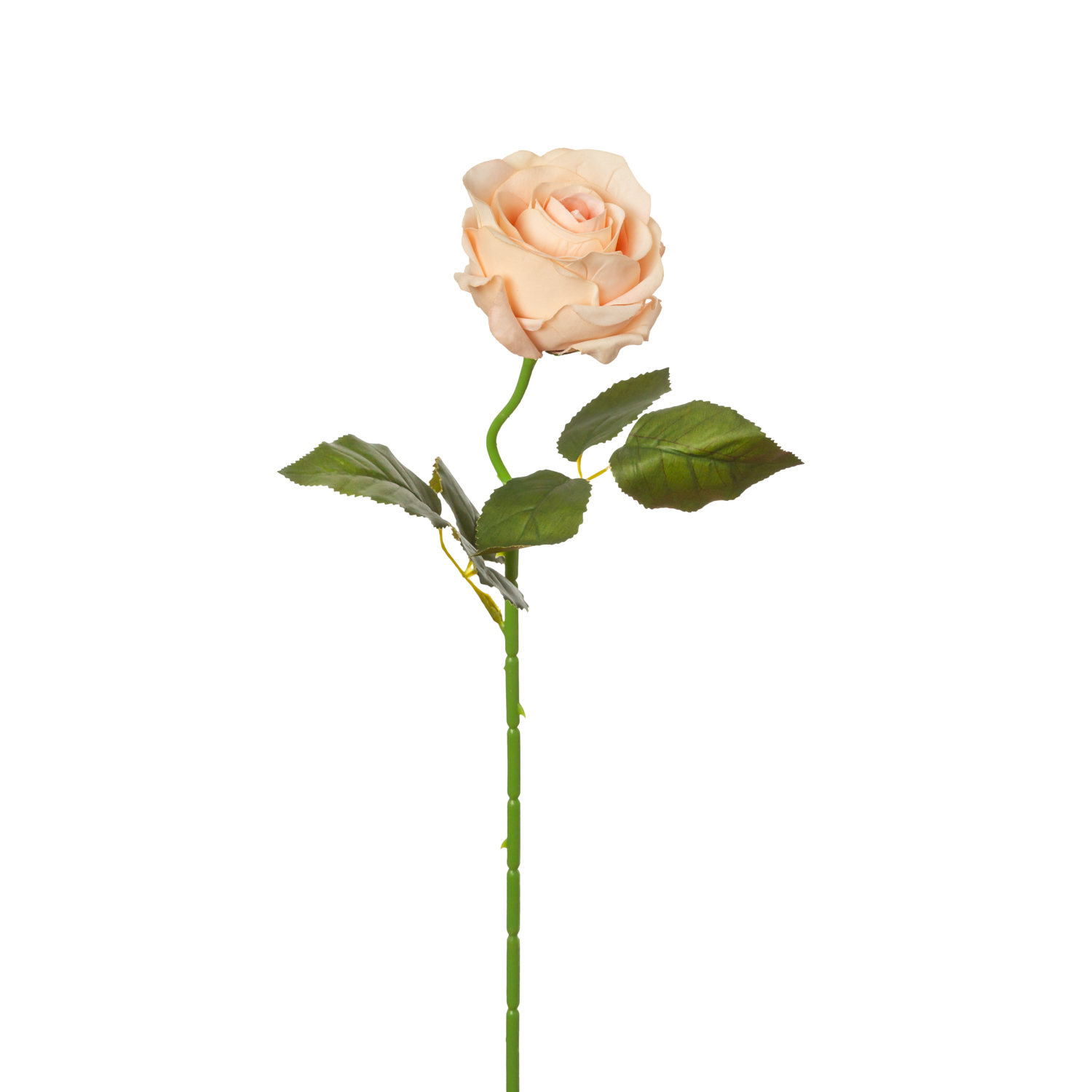 ROSA ABIERTA TERCIOPELO