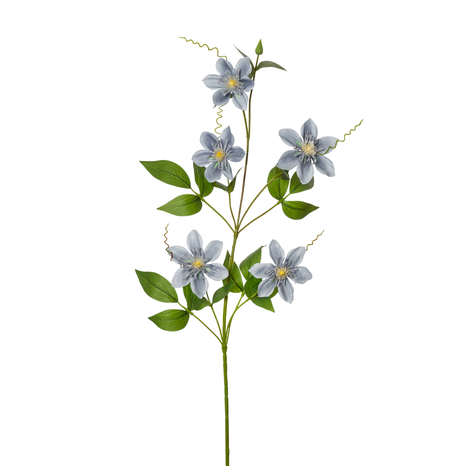 RAMA MINI DOBLE CLEMATIS