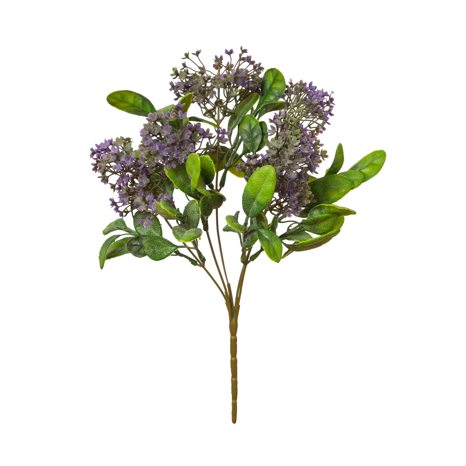 RAMO X5 SKIMMIA