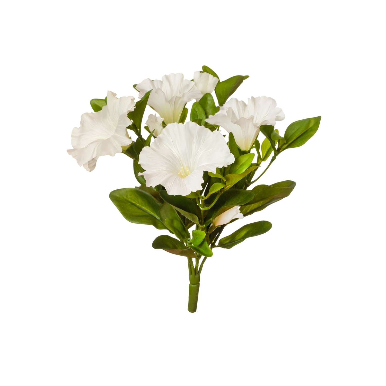 RAMO PETUNIA
