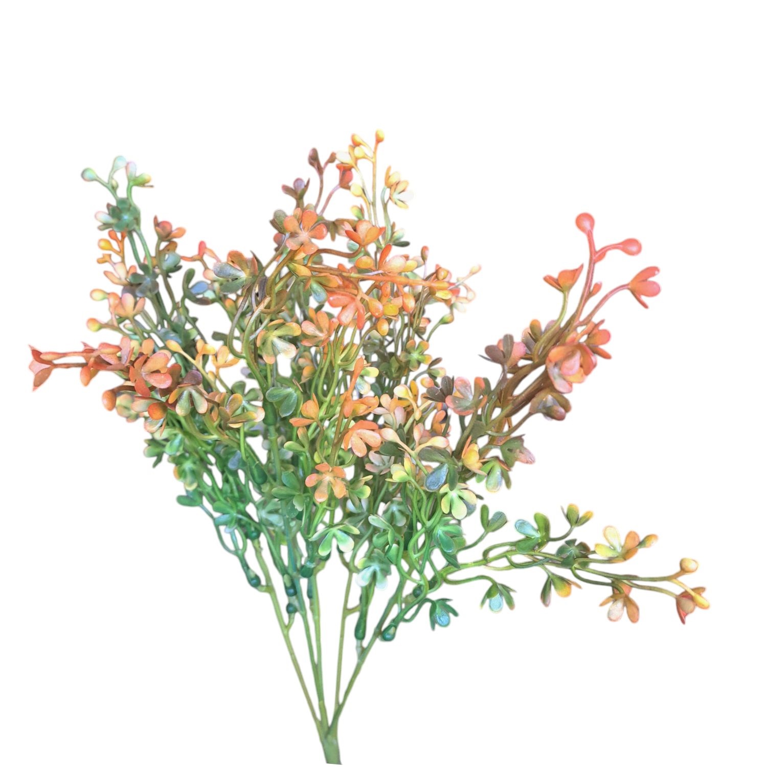 ARTEMISA TRIDENTATA FLOR NARANJA RAMA