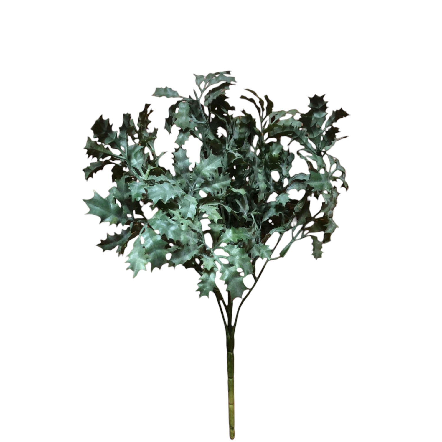 RAMA HOJA CARDO