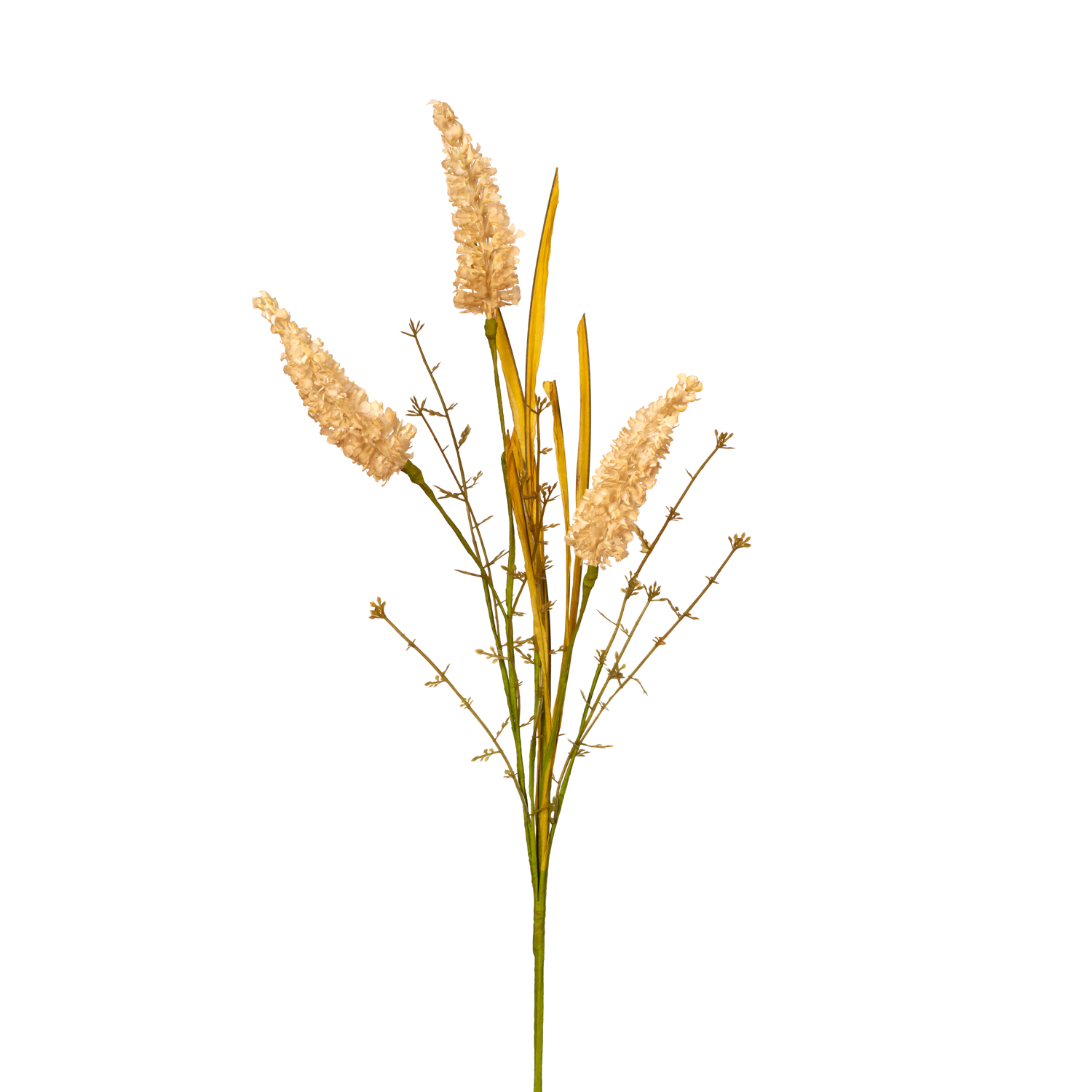 RAMO SILVESTRE ASTILBE