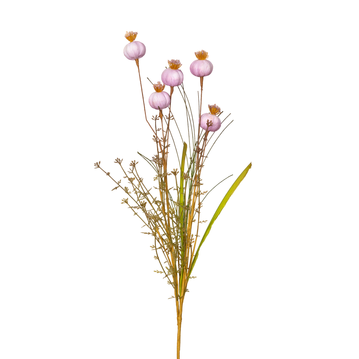 ramo-silvestre-vainas-de-semillas-maneli-flor
