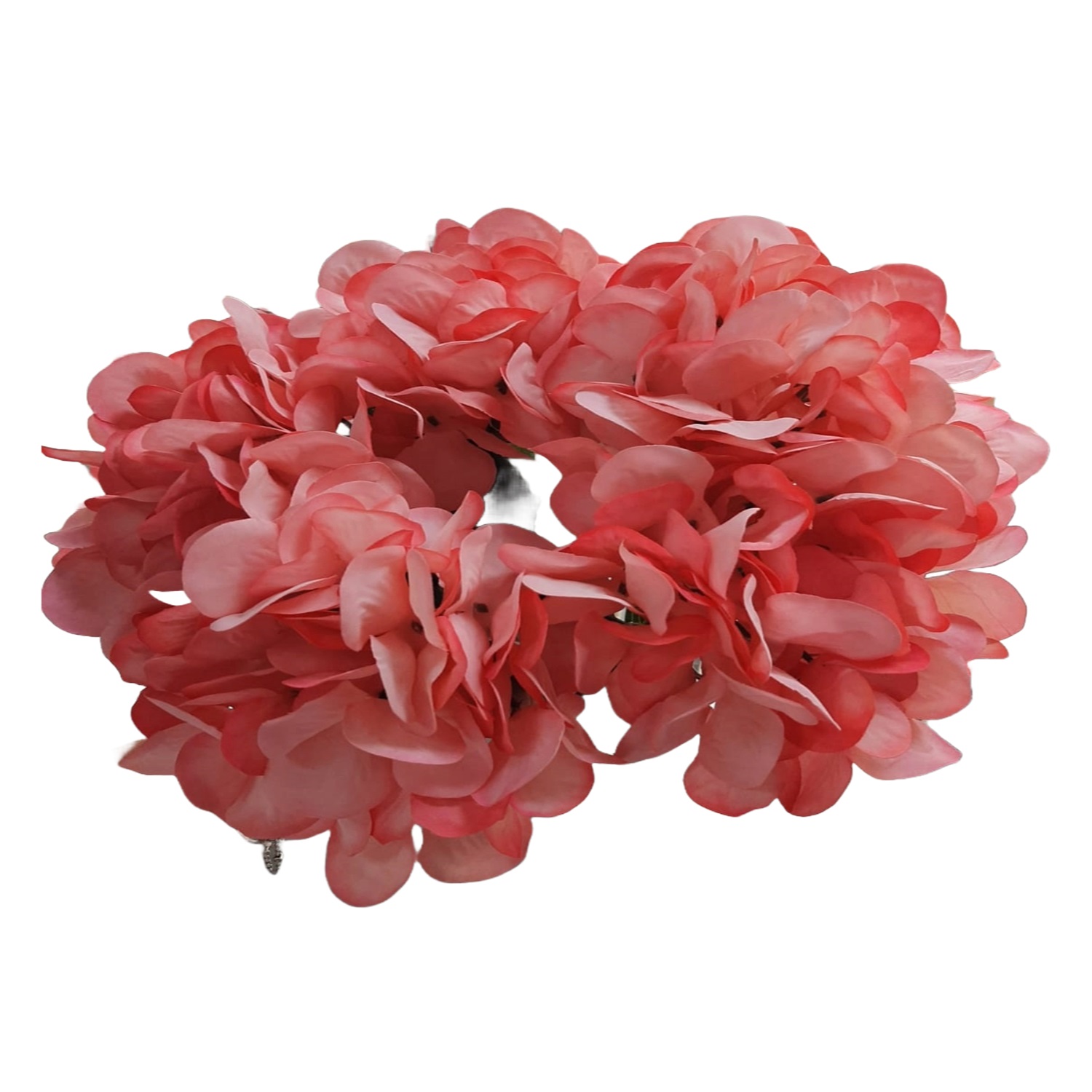 RAMO HORTENSIAS