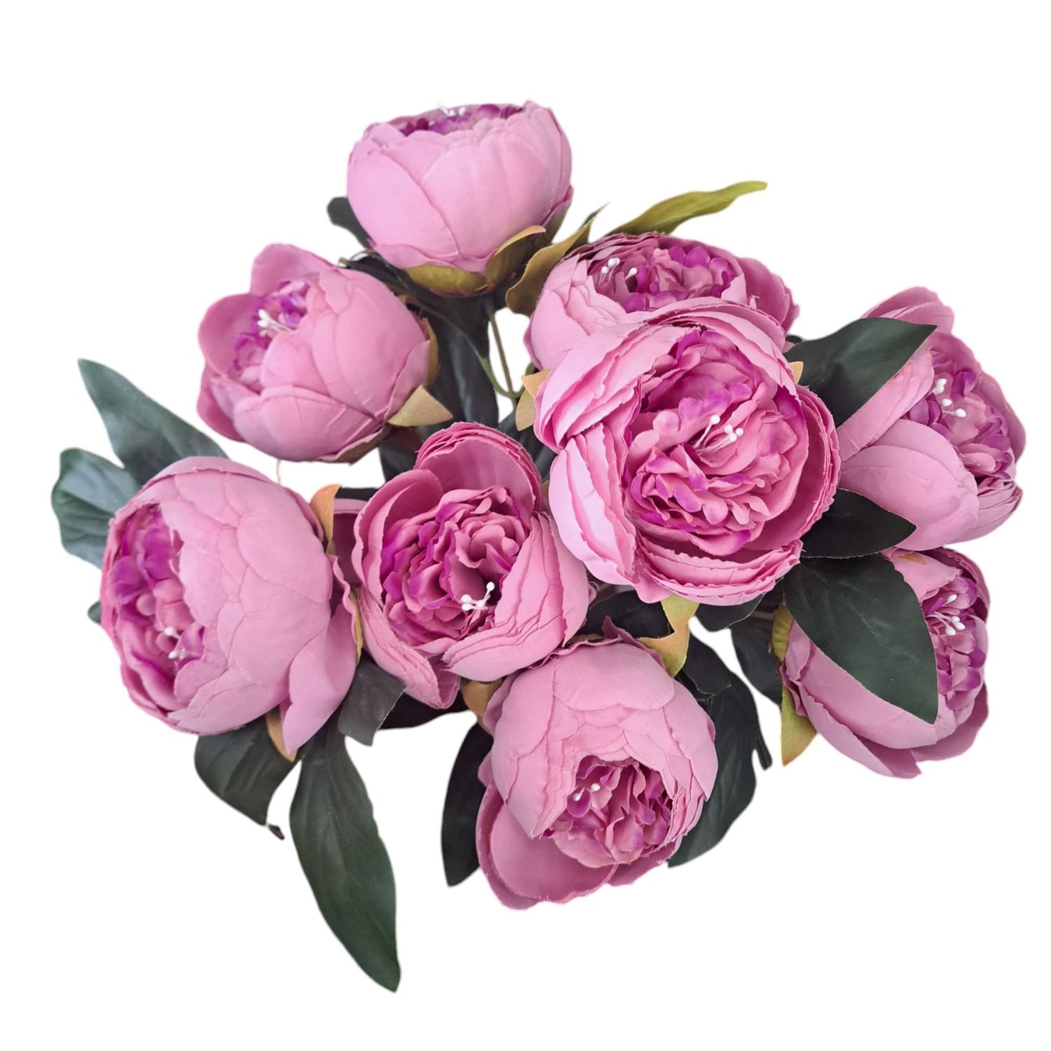 RAMO 9 PEONIAS