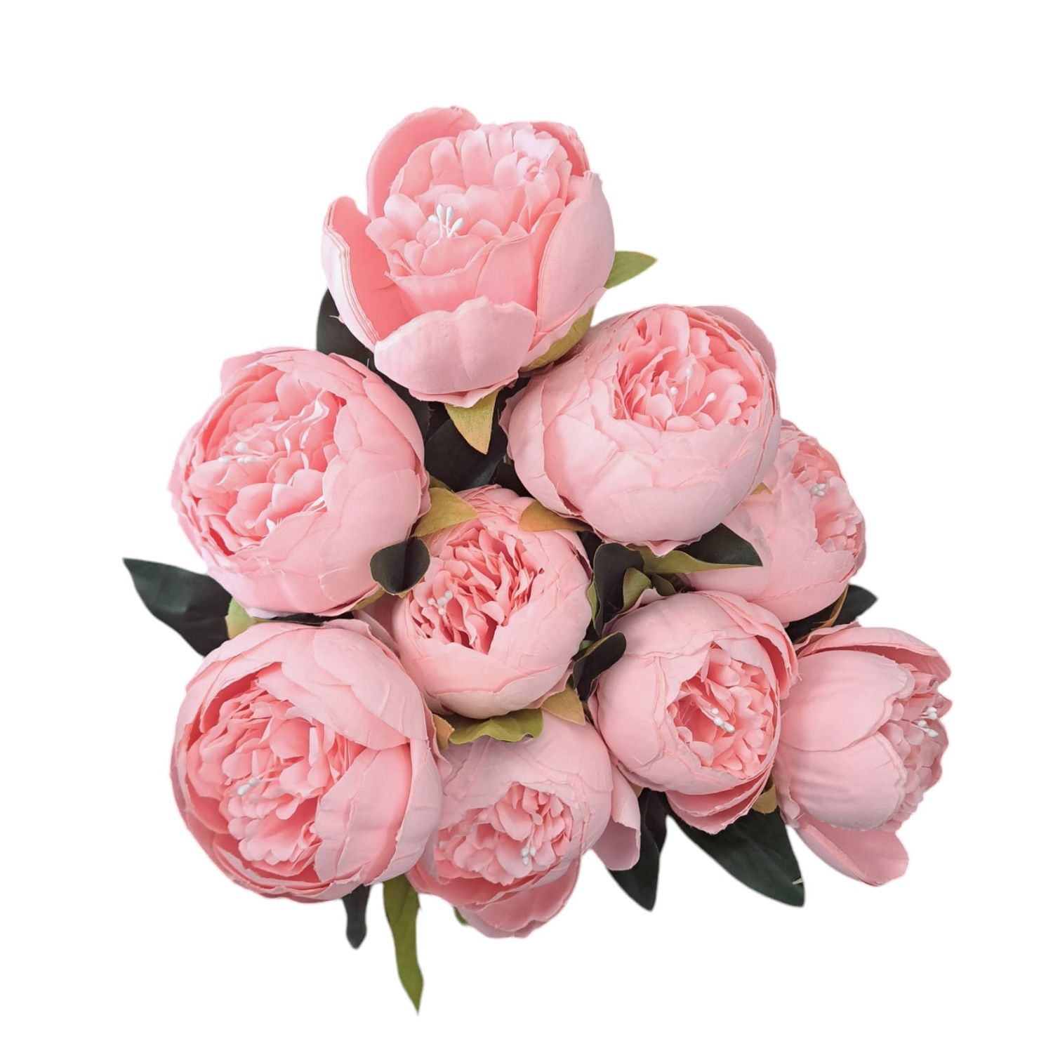 RAMO 9 PEONIAS