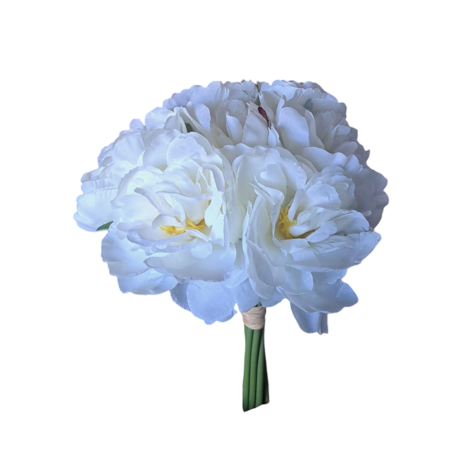 RAMO PEONIA SIN HOJA