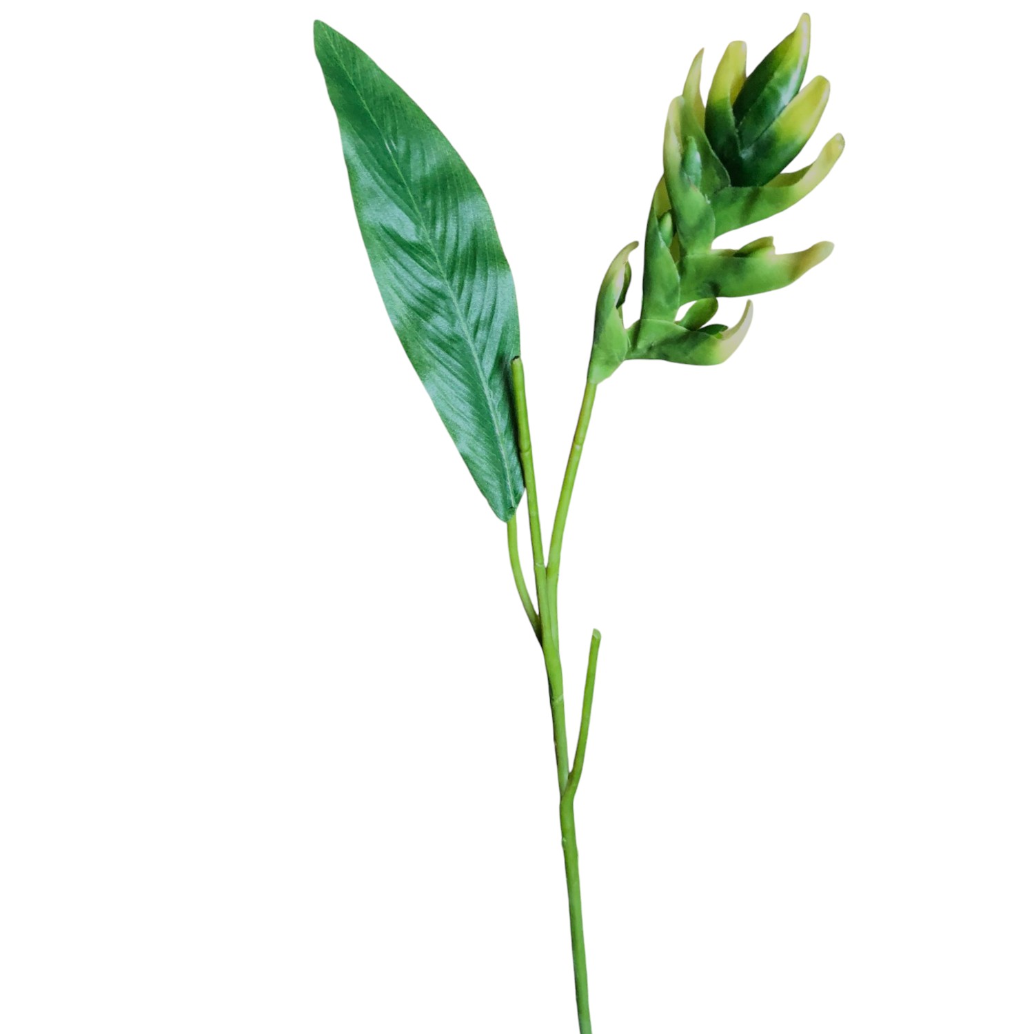 HELICONIA SPRAY