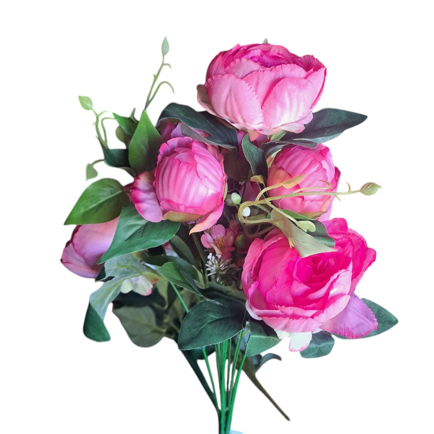 RAMO PEONIA
