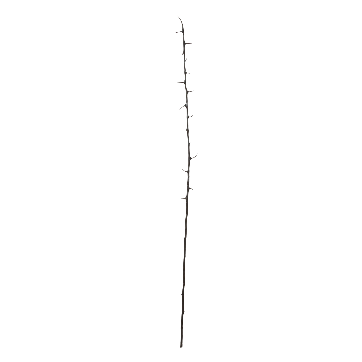 rama-espina-thorn-maneli-flor