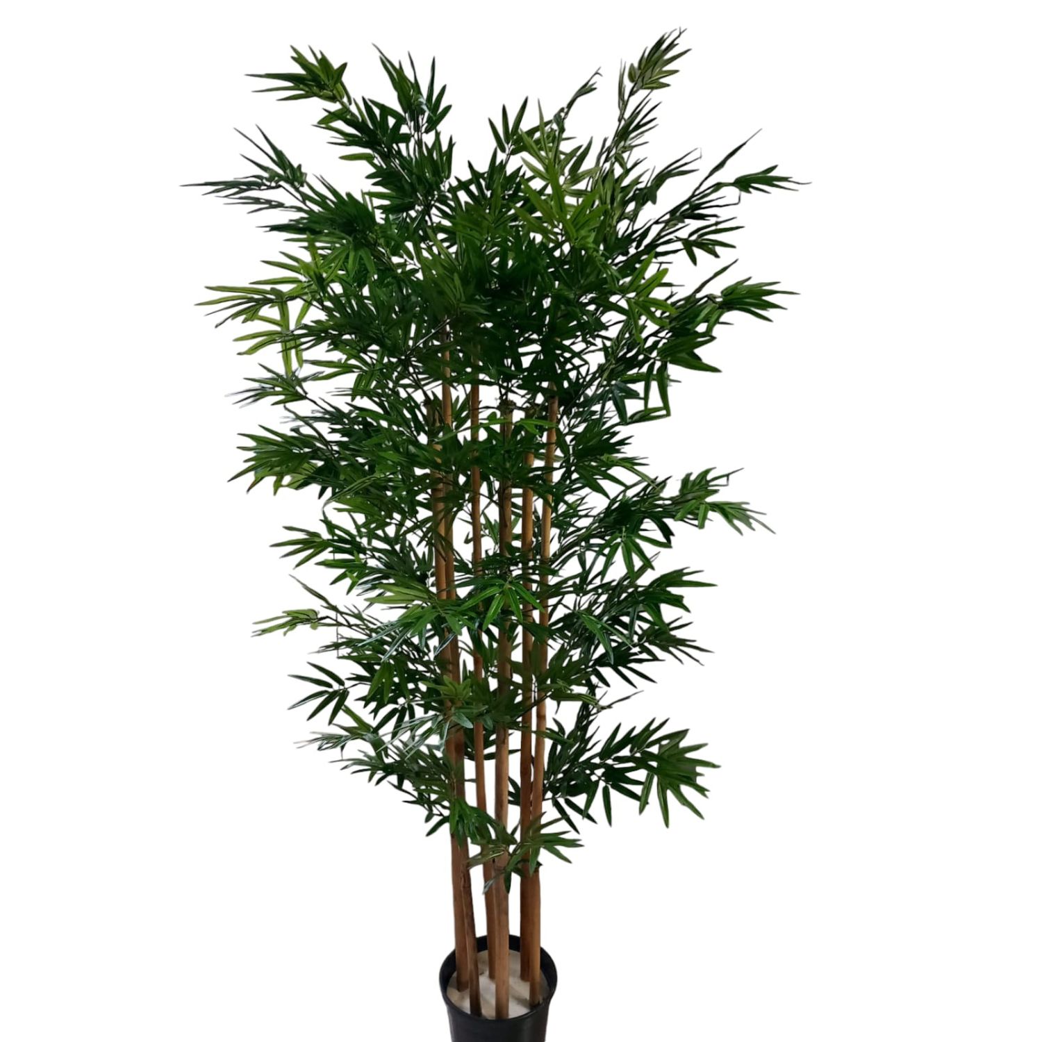 MONTAJE BAMBU TWIGGY 1.60 M.