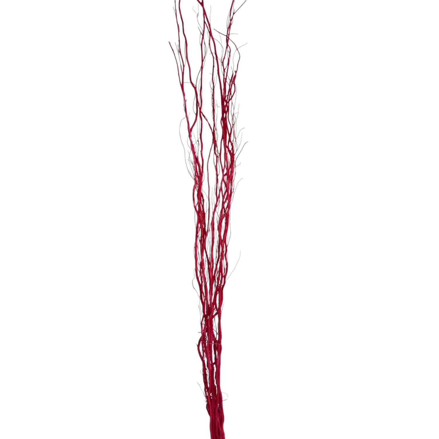 DRAGON WILLOW BUNDLE