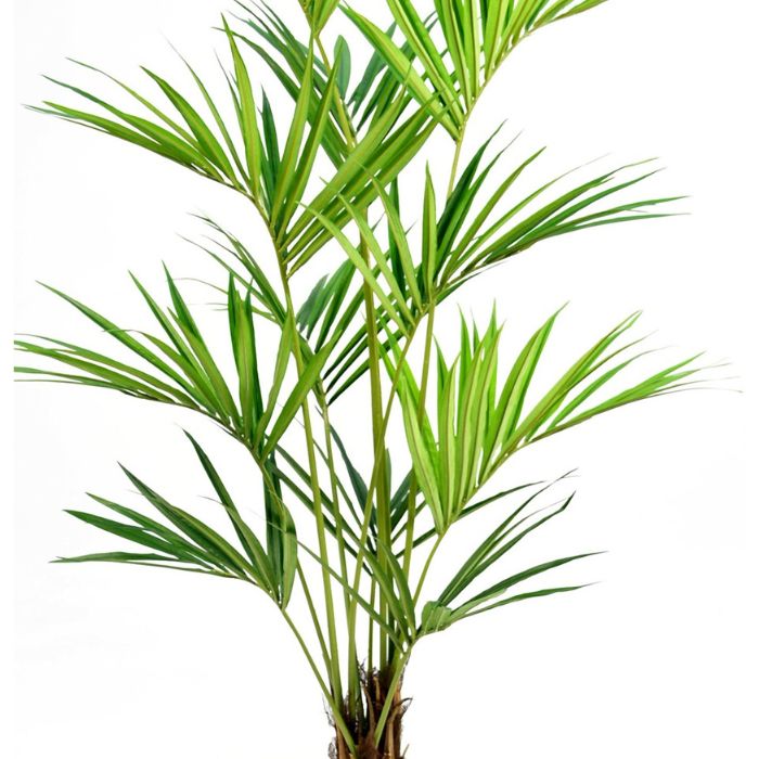 PLANTAS mayor 150 cm